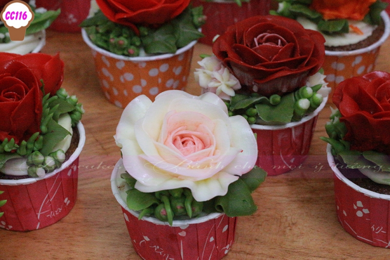 [CC116] CUPCAKES HOA BƠ HÀN QUÓC